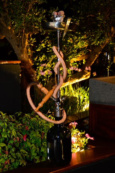 Kitchen Yard on Saturday Night